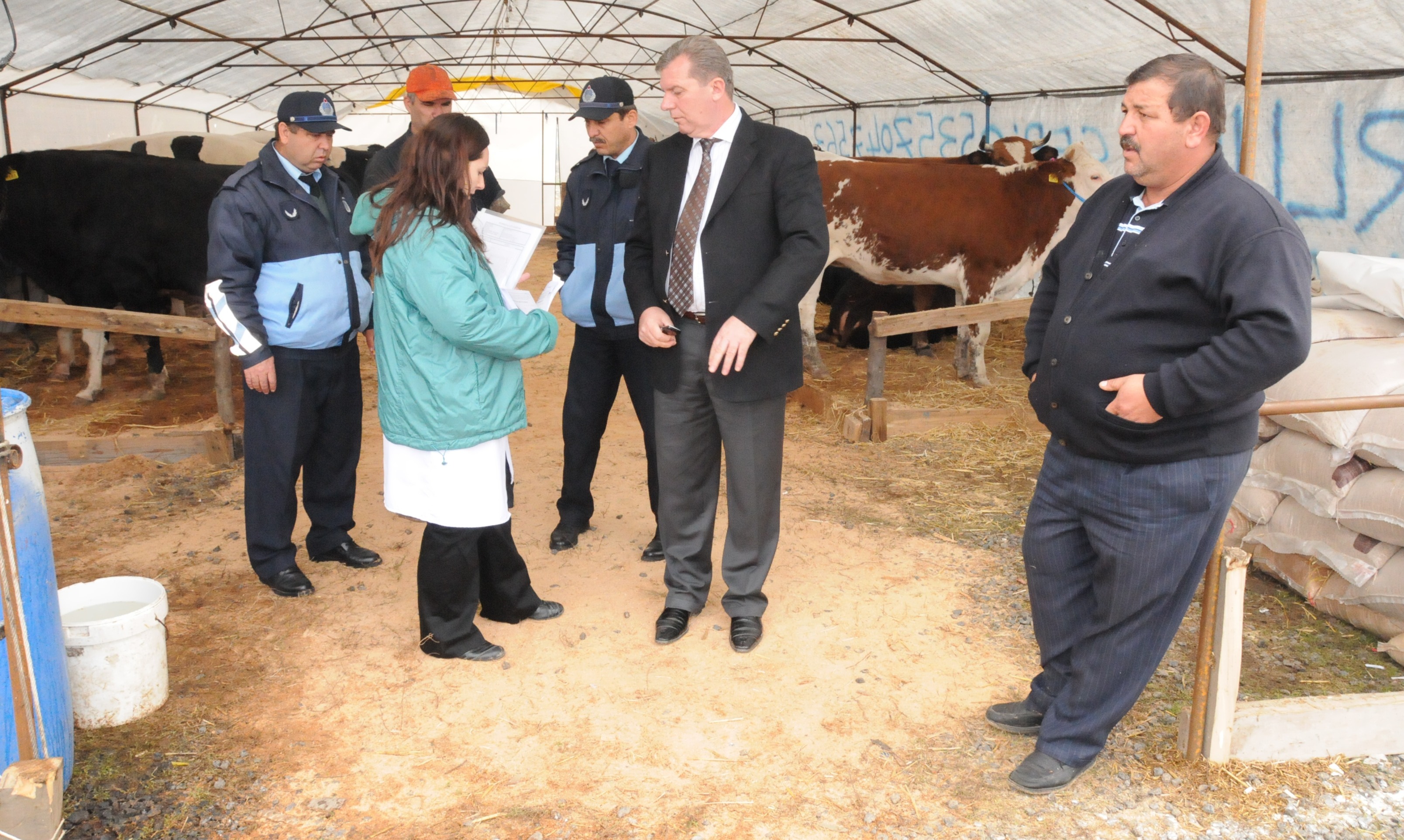 Canl� Hayvan Pazar� Kurban Bayram�na Haz�rlan�yor