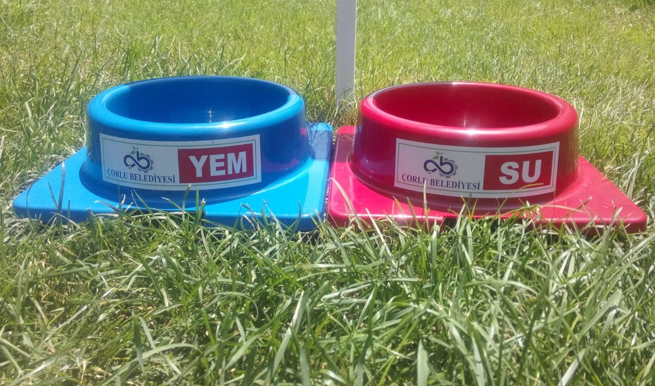 Sokak Hayvanlar in Su ve Yem Kaplar Konuldu