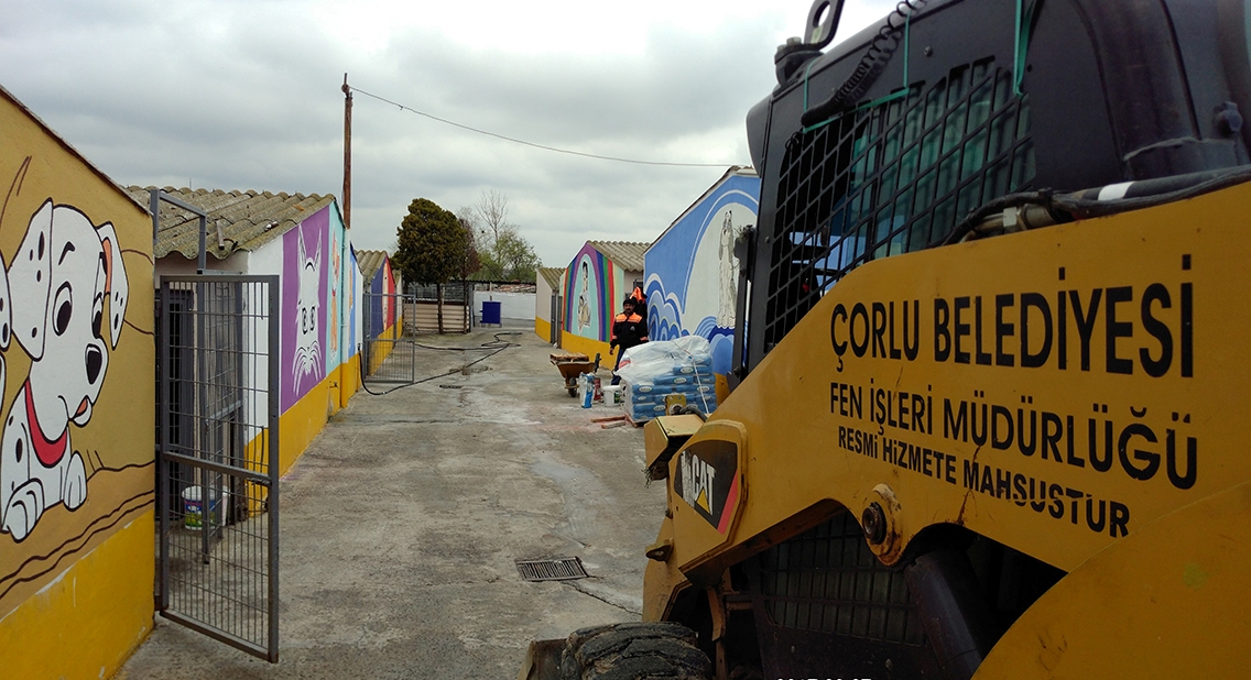 Ge�ici Hayvan Bak�mevimiz Tadilatta