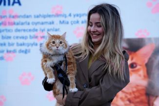 3. Patifest �orlu, Naz�m Hikmet Ran Park�`nda Ger�ekle�tirildi
