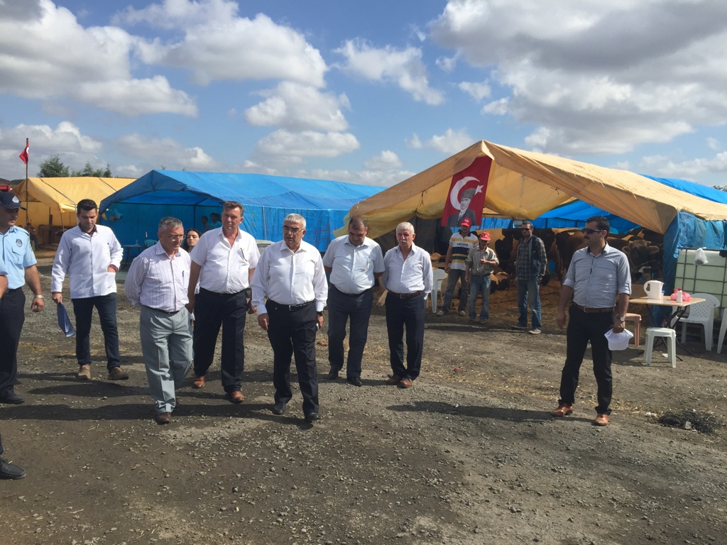 Kurban Bayram� Haz�rl�klar� Ba�lad�