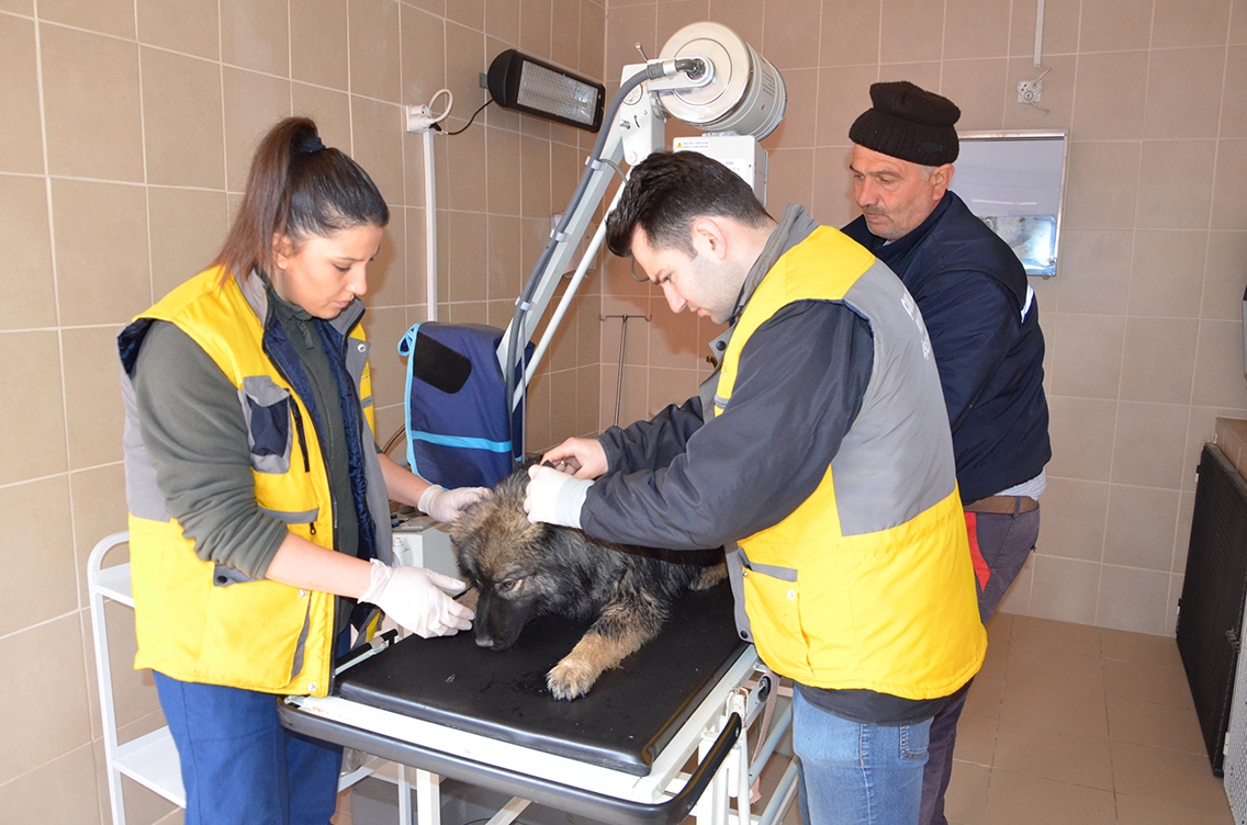 Ge�ici Hayvan Bak�mevimiz Can Dostlar�m�z�n Yan�nda