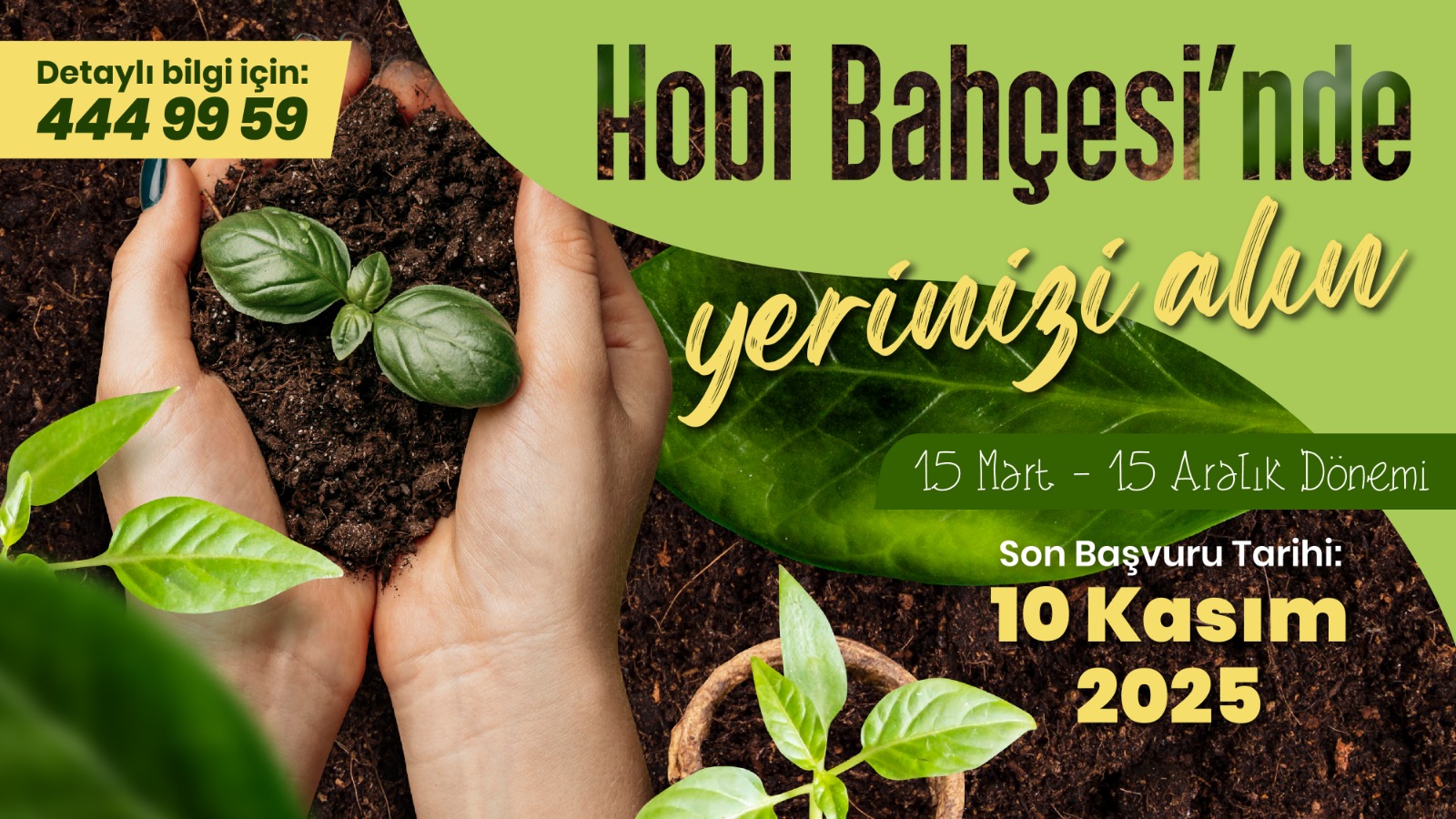 Hobi Baheleri in Bavurular Balad