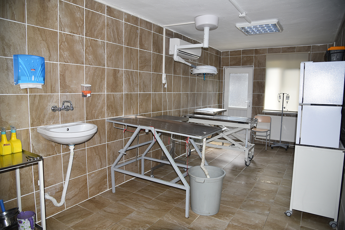 Geici Hayvan Bakmevimiz Yenilendi