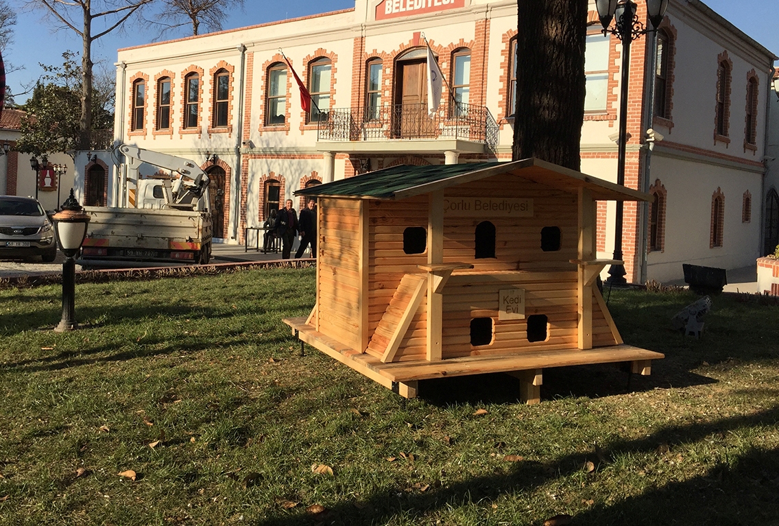 Kedi Evlerimiz Yerle�tiriliyor