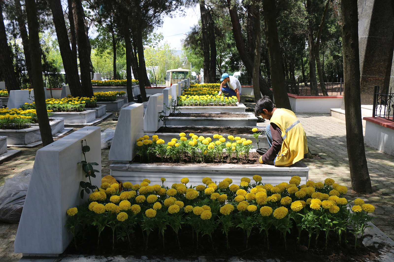 �orlu �ehitli�ine Mevsim �i�ekleri Dikildi